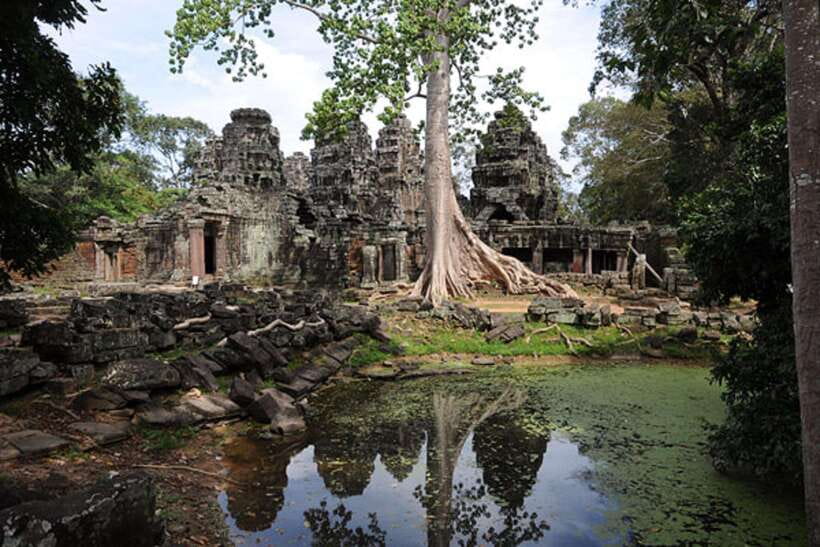 Siem Reap: Full-Day Tuk-Tuk Tour of Angkor Wat Temples - Ta Prohm: roots, corridors, and the day’s most atmospheric stop