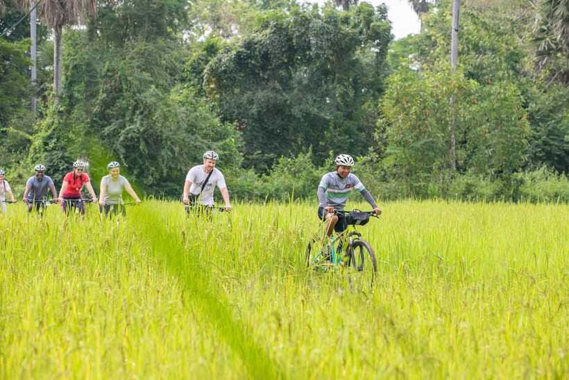 Siem Reap: Guided Countryside Bike Tour - Rice fields and the working countryside