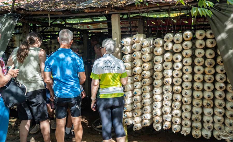 Siem Reap: Guided Countryside Bike Tour - The market, fruit, snacks, and rice wine