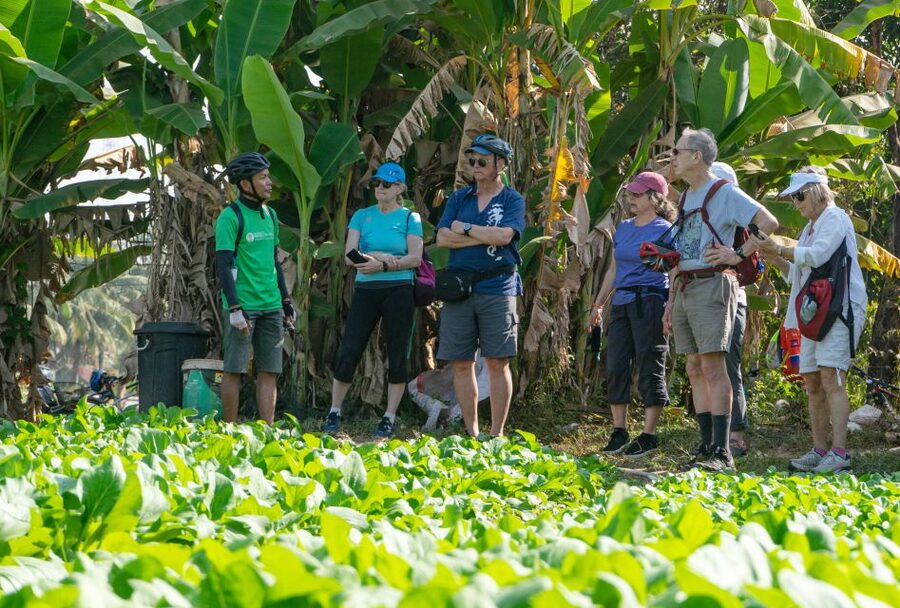 Siem Reap: Guided Countryside Bike Tour - Buddhist temples and village customs