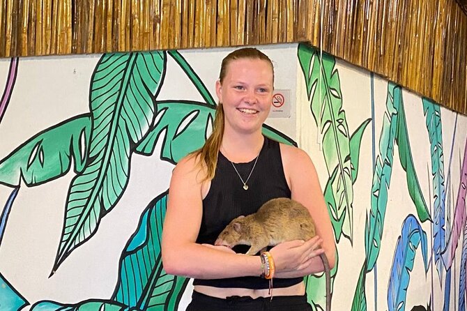 Siem Reap Guided Tour & Hero RATs at APOPO Visitor Center - The five details that shape this Siem Reap tour