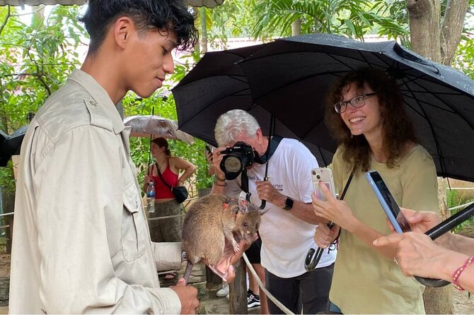 Siem Reap Guided Tour & Hero RATs at APOPO Visitor Center - The Royal Residence offers a change of mood