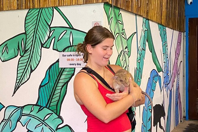 Siem Reap Guided Tour & Hero RATs at APOPO Visitor Center - What the private format changes
