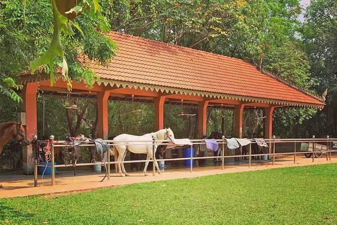 Siem Reap Happy Horse Riding Free Pick-up & Drop-off - Reaching the farm by tuk-tuk