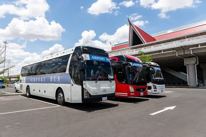 Siem Reap International Airport Shared Shuttle Bus Transfer - What happens after you land at Siem Reap Angkor International Airport