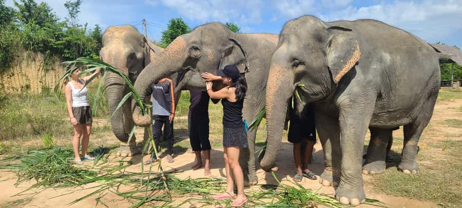 Siem Reap: Kulen Elephant Forest Guided Tour - Key points at a glance