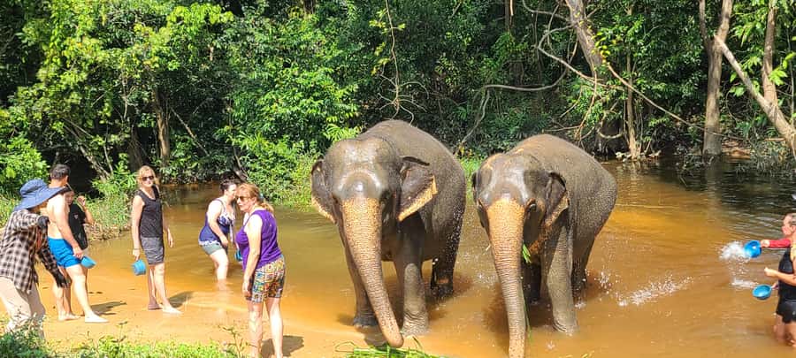 Siem Reap: Kulen Elephant Forest Guided Tour - Booking details worth checking before you go