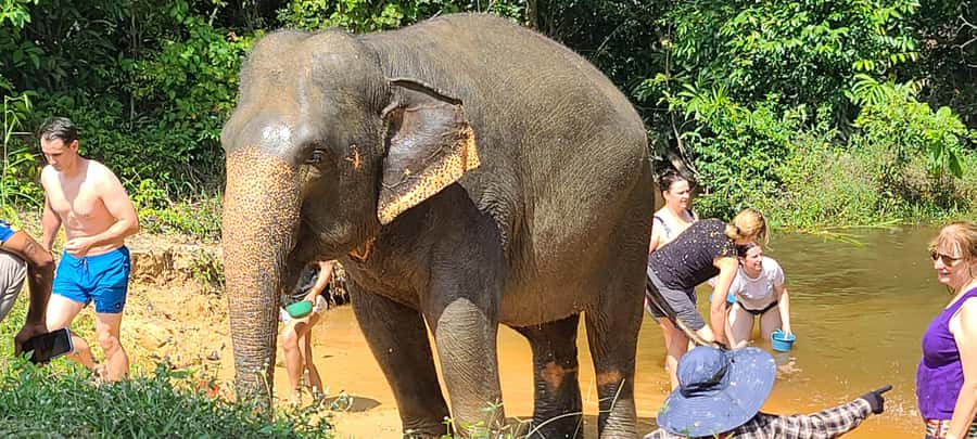 Siem Reap: Kulen Elephant Forest Guided Tour - Lunch at base camp after the morning session