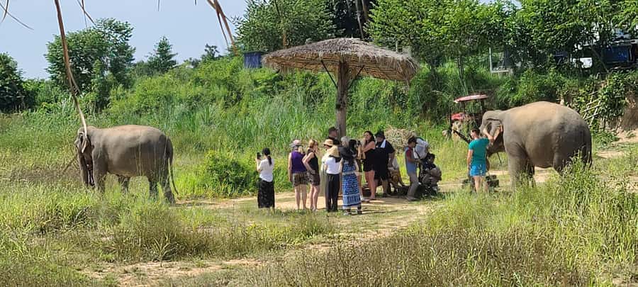 Siem Reap: Kulen Elephant Forest Guided Tour - The one-hour ride from Siem Reap