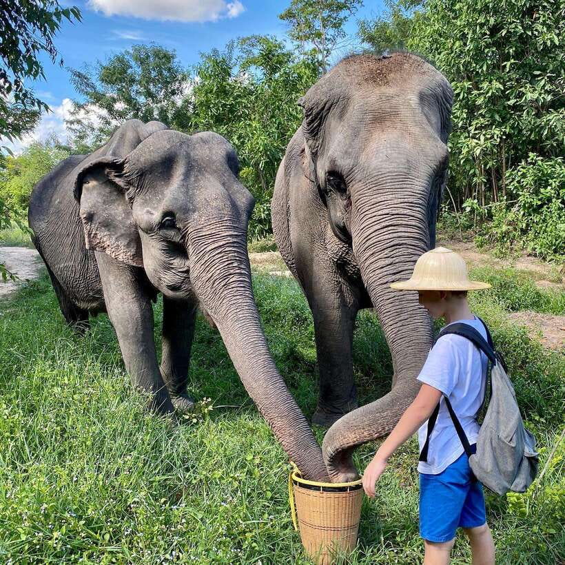 Siem Reap: Kulen Elephant Forest & Tonlesap Lake - The boat trip, floating market, and possible extra charges
