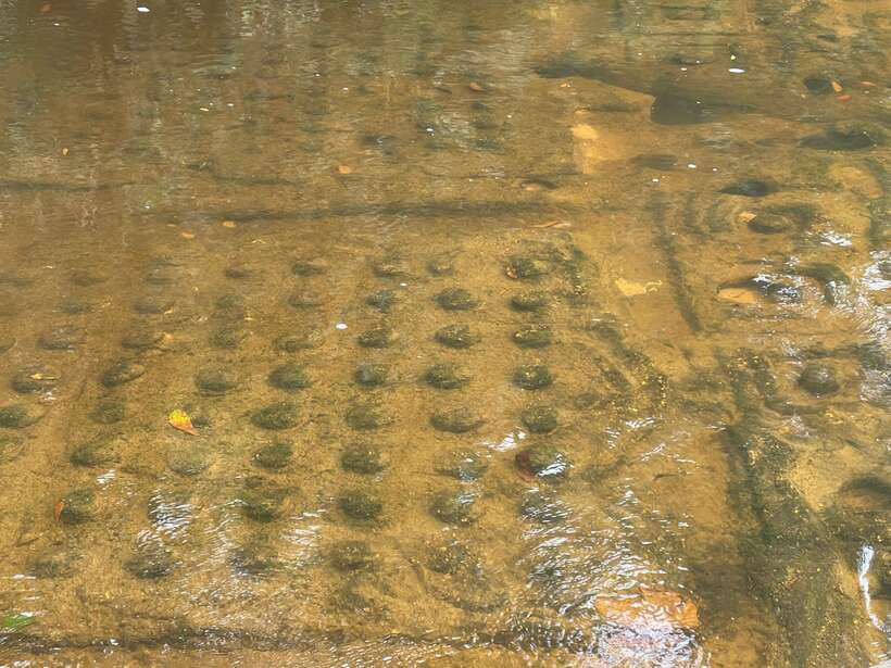 Siem Reap: Kulen Waterfall and Banteay Srei Exploration - Walking beside the River of 1000 Lingas