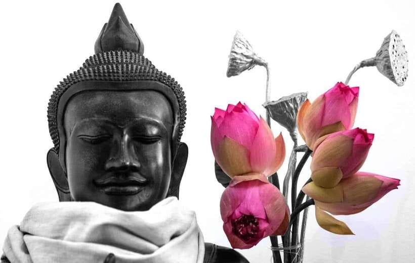 Siem Reap Lotus Silk Farm Discovery tour & Lake experience - Why the lotus farm makes a good Siem Reap break