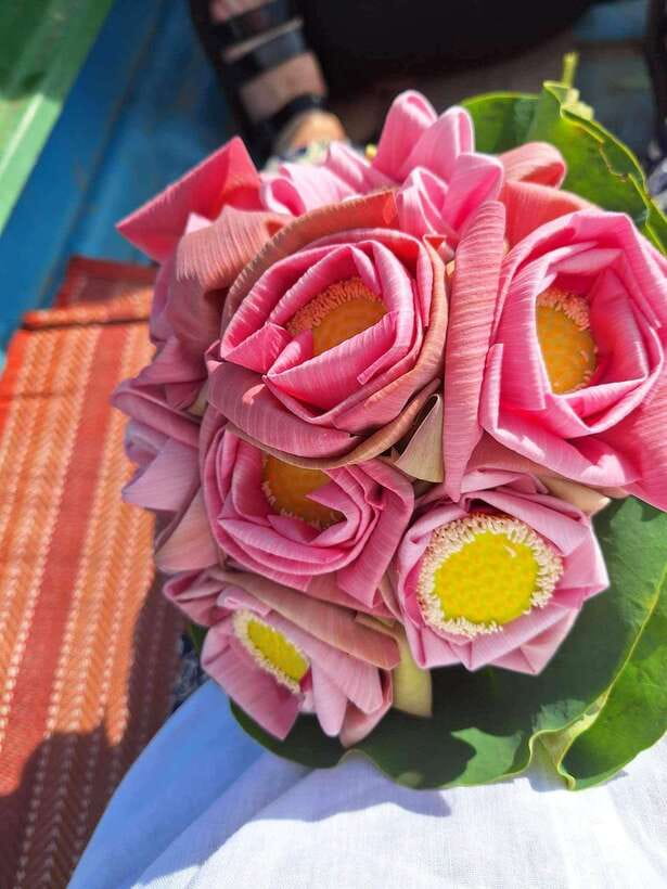 Siem Reap Lotus Silk Farm Discovery tour & Lake experience - Lotus tea, biscuits, and rooftop countryside views