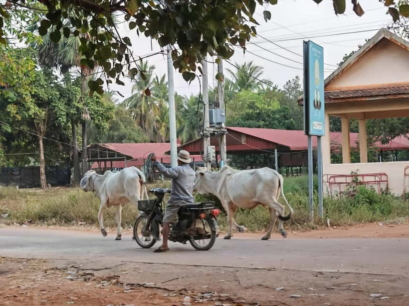 Siem Reap: Monk Blessings and Village Life Scooter Tour - Group size, guides, and the feel of the outing