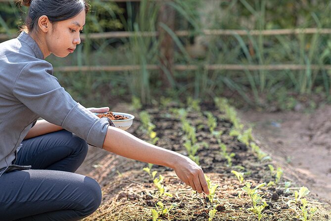 Siem Reap Morning Culinary & Culture Tour - (Vego also available) - Vegetarian visitors and practical limits
