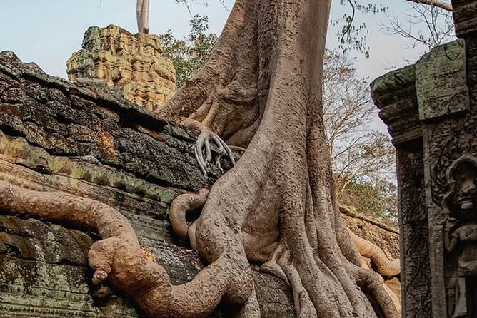 Siem Reap Private Full Day Angkor Wat Tour with Sunset or Sunrise - A full day through Angkor’s royal city