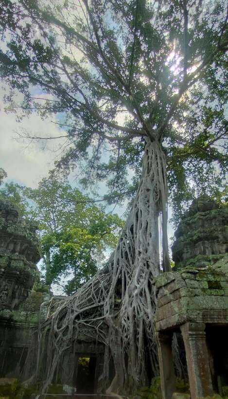 Siem Reap Private Tour: Angkor Wat Sunrise And Banteay Srei - Starting before sunrise at Angkor Wat