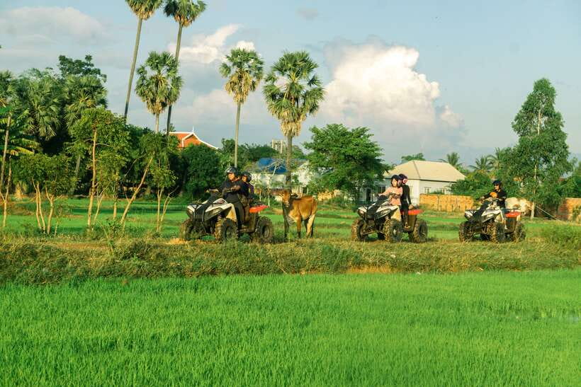 Siem Reap: Quad Bike Tour of Local Villages - Reaching the rice paddies before sunset