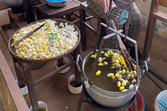 Siem Reap: Silk Farm & Countryside Offbeat Jeep Tour - Rice fields, village homes, and ordinary work
