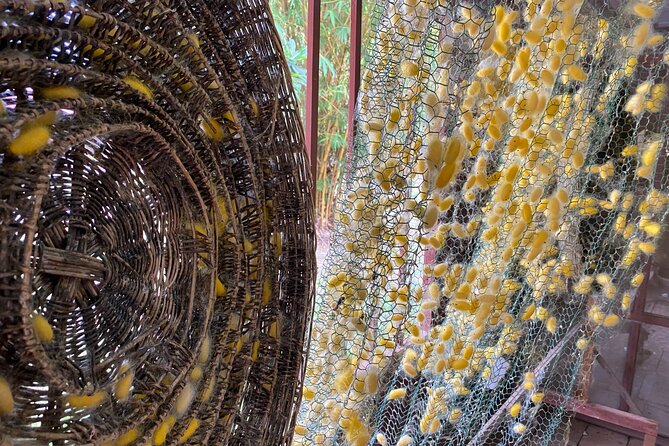 Siem Reap: Silk Farm & Countryside Offbeat Jeep Tour - How the $55 price measures up