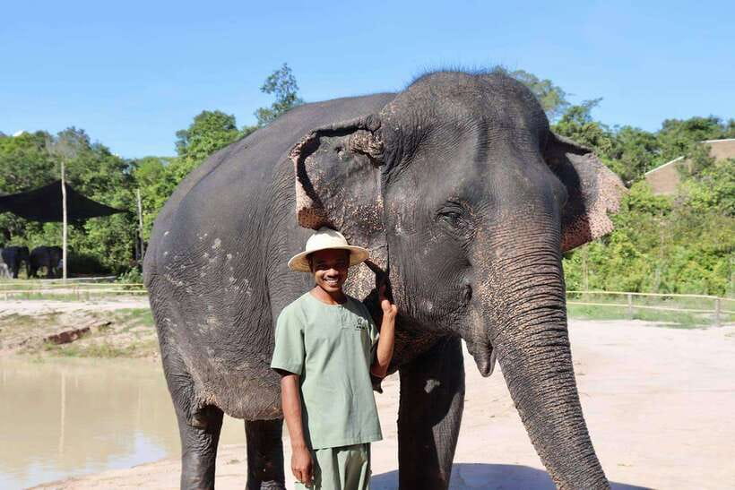Siem Reap: Small Group Tour of Kulen Elephant Forest - The briefing sets the right tone