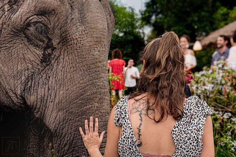 Siem Reap: Small Group Tour of Kulen Elephant Forest - Walking beside elephants in the forest