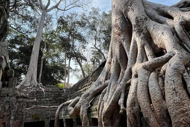 Siem Reap Temple Tuktuk Tour: Explore Angkor Wat and beyond. - How to make the most of a self-guided temple visit