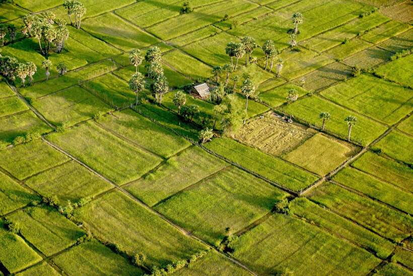 Sky Venture Microlight Siem Reap - Seeing Angkor from a two-seat microlight