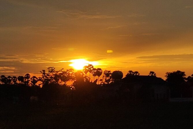 Small Group Countryside Bike Tours, Sunset & Picnic - Sampling street food and local desserts
