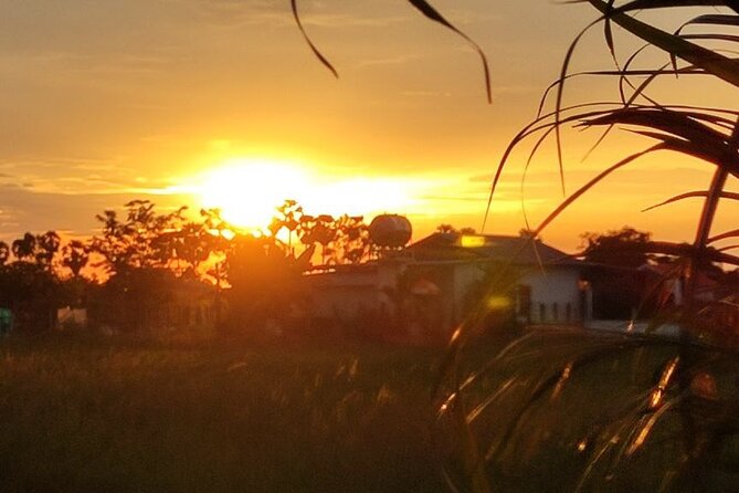 Small Group Countryside Bike Tours, Sunset & Picnic - Who will enjoy this outing most