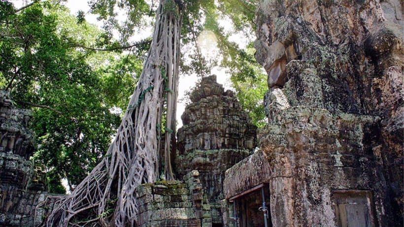Small-Group Explore Angkor Wat Sunrise Tour with Guide - Starting at 4:20 am for Angkor Wat