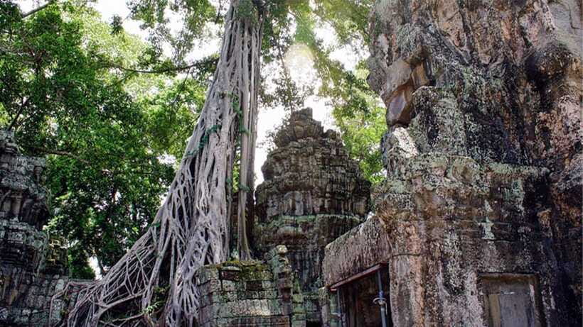 Small-Group Explore Angkor Wat Sunrise Tour with Guide - Ta Prohm and the roots of the Tomb Raider Temple