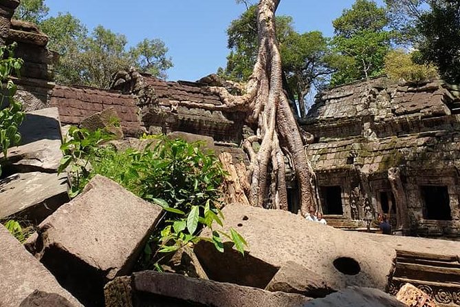 Special Three Days Angkor Tour - Day three: Roluos, duck eggs, and Tonle Sap