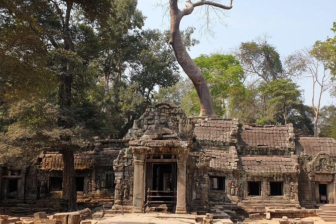 Sunrise Tour of Angkor Temples from Siem Reap - What the guide and driver add
