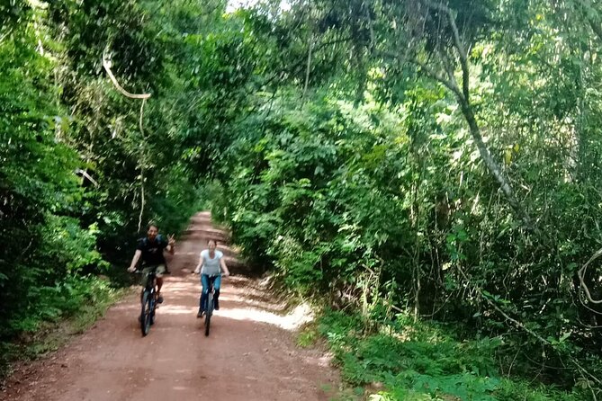 Sunset or sunrise bicycle tour around Angkor Wat and nearby temples - Angkor Thom and Bayon: stone faces at the center