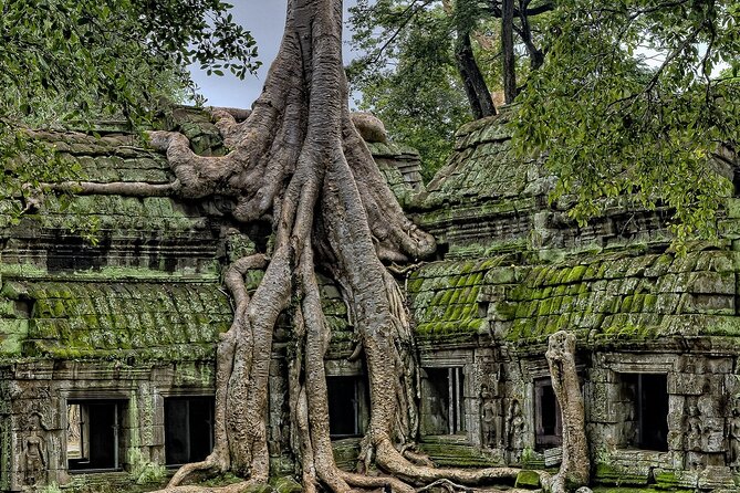 The Angkor Temples from Sunrise by Tuk Tuk - Angkor Wat Gives You More Than a Sunrise Photograph