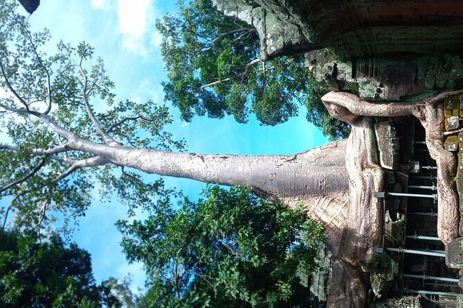 The Magnificent Angkor Wat - Ta Prohm, the jungle temple
