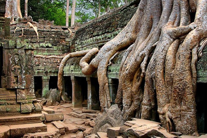 Three-day tour Discovering Siem Reap highlight ,Beng Mealea and Floating Village - Who should book this tour