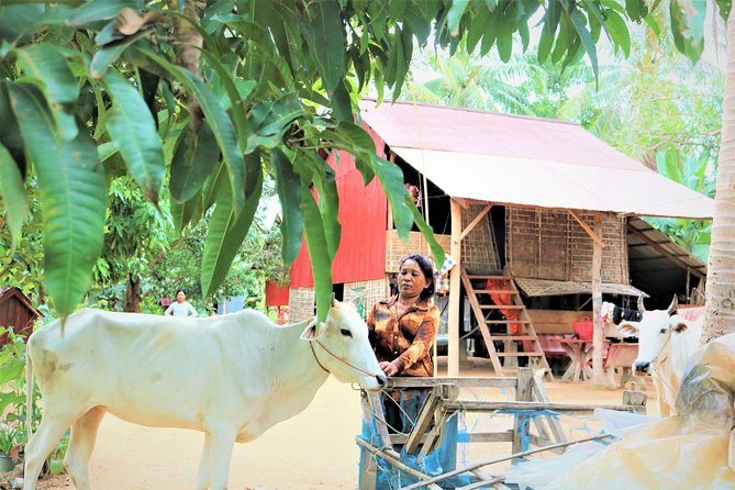 Tonle Sap Lake - Fishing Village & Flooded Forest - The Guides and Drivers Matter Here