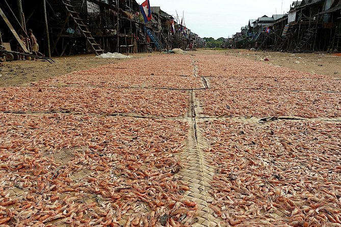Tonle Sap Lake & Kampong Phluk Village Half-Day Tour - The mangrove canoe from August through January