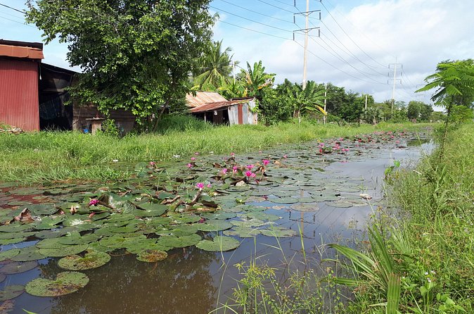 Tuk Tuk Journey: Exploring Rural Life and Silk Farm Craftsmanship - A Quiet Stop at the Pagoda