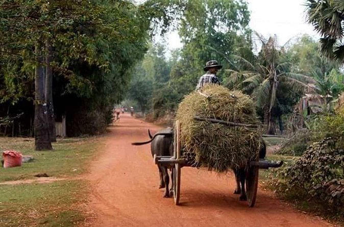 Tuk Tuk Journey: Exploring Rural Life and Silk Farm Craftsmanship - What $45 Buys You