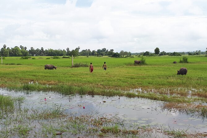 Tuk Tuk Journey: Exploring Rural Life and Silk Farm Craftsmanship - Timing, Comfort, and Practical Details