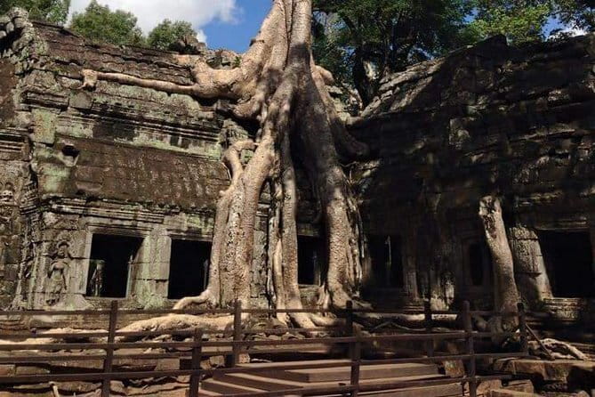 Ultimate Siem Reap Food Tour by Tuk Tuk - 20 Tastings, 8 Stops - Who will enjoy this food tour most