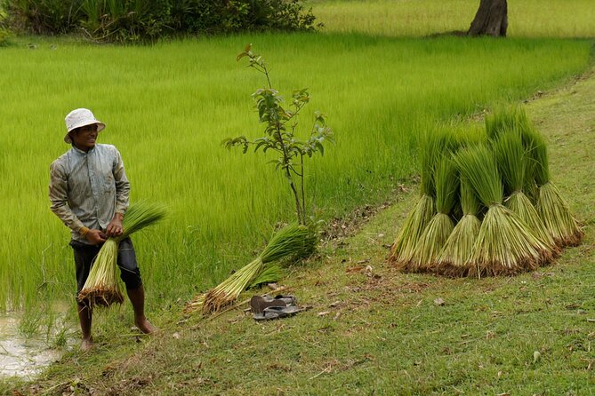 Village Life Tour from Siem Reap - Leaving Siem Reap for the Cambodian countryside