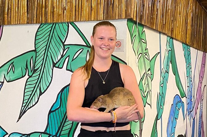 War Museum, Killing Field, and APOPO Hero RATs Tour - Stop three: APOPO and the HeroRATs