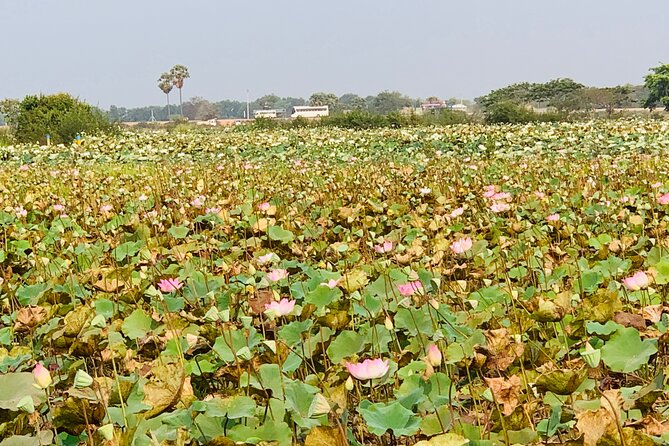 War Museum, Killing Field and Floating village ( Chong Kneas) Tour - How the $75 price works in practice